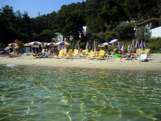 thassos/thassos beaches/nisteri/nisteri-hotel-beach, thassos.jpg